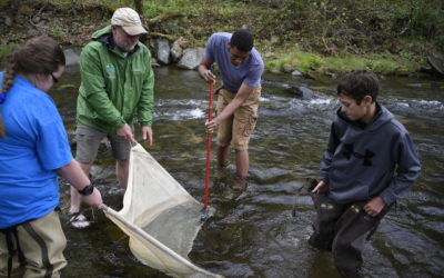 Raising brook trout, just like Mother Nature