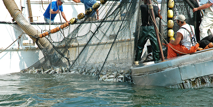 Anglers, Charter Boat Captains, and Conservation Groups Highlight Urgency of Menhaden Legislation