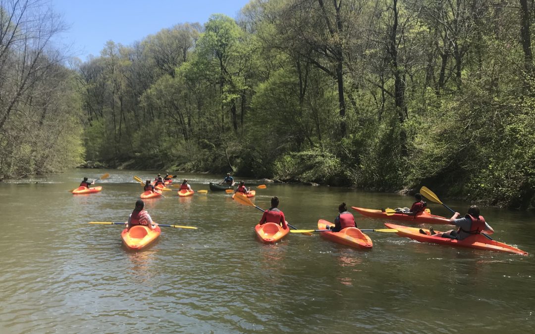 Planting and paddling toward a cleaner river