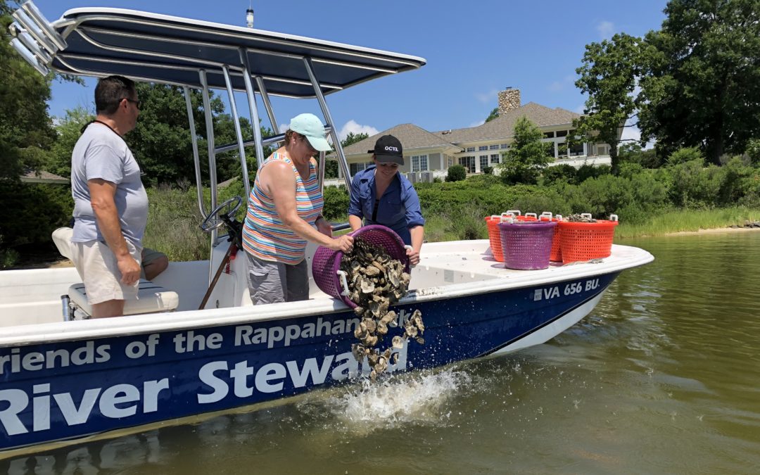Oyster Restoration VIP River Experience