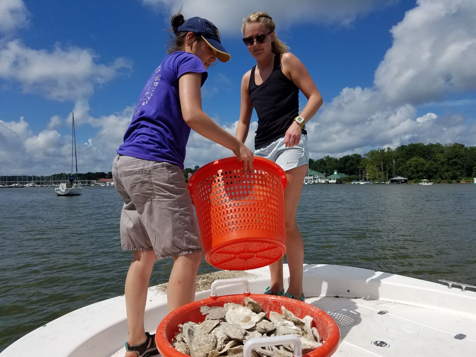 two women hold basket to dump oyster shell
