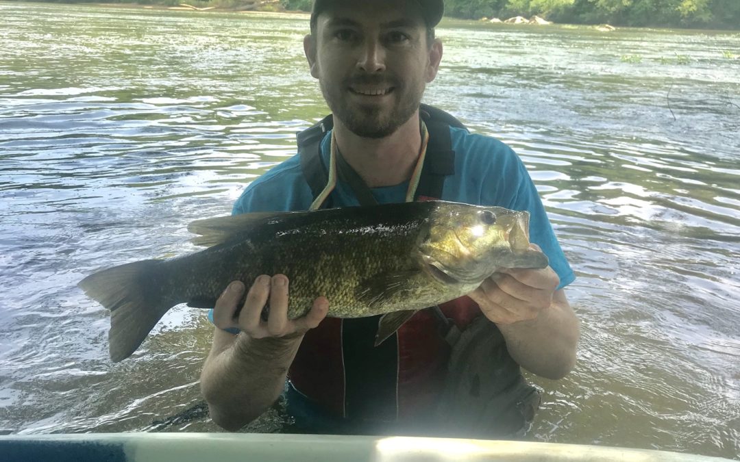 Three tips for catching big summertime smallmouth on the Rappahannock