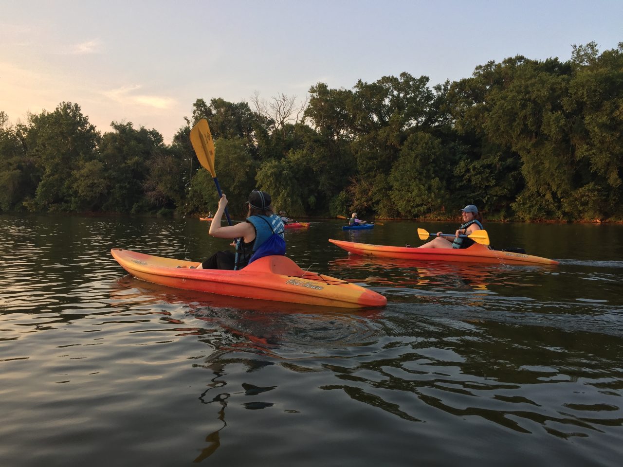 Rappahannock River Adventures in 2020 - Friends of the Rappahannock