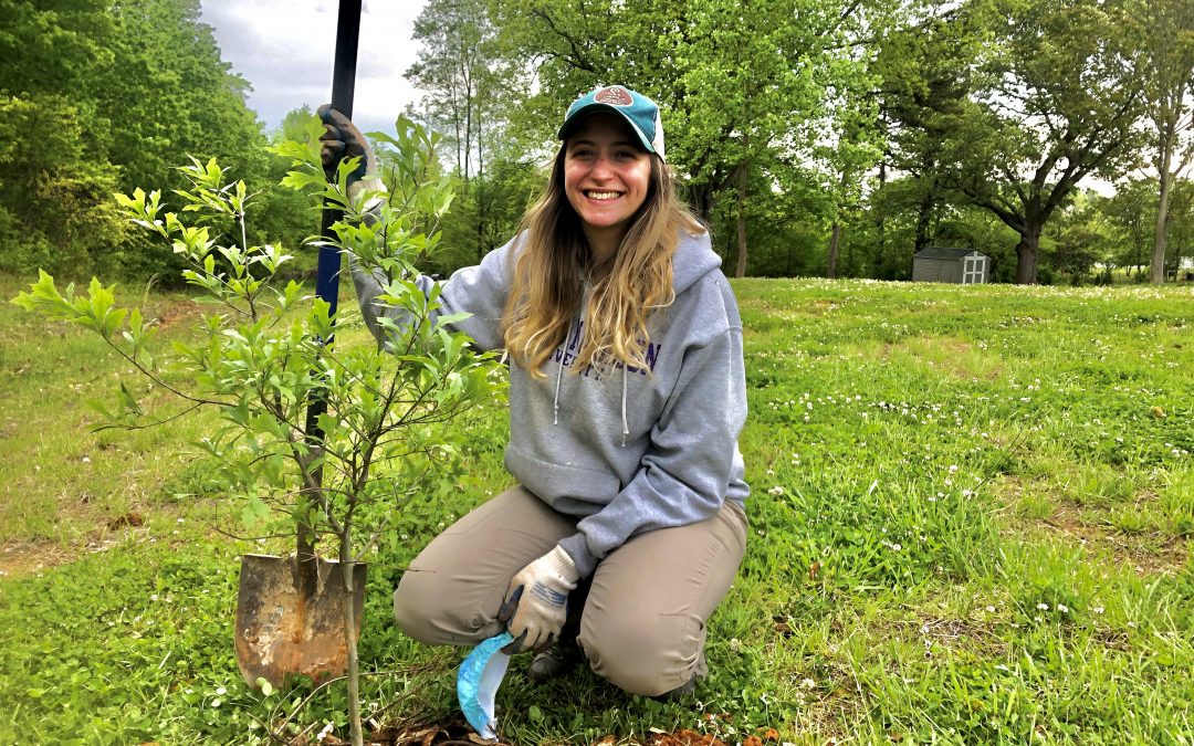 Protected: Tree Planting & Giveaway Volunteer Day: Sperryville