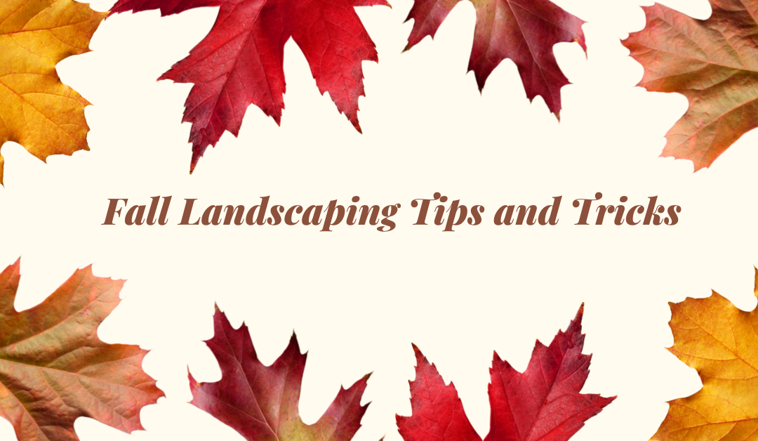 River Friendly Fall Landscaping Tips