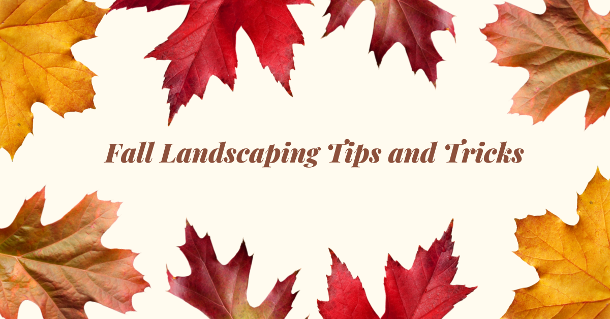 Fall Landscaping Tips and Tricks