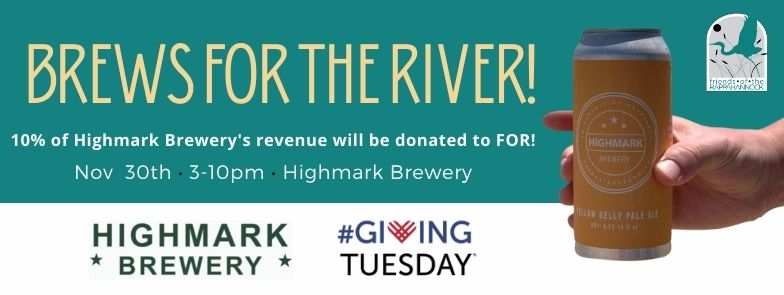 Fundraiser Event at Highmark Brewing