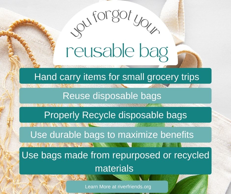 Why You Should Use Reusable Shopping Bags
