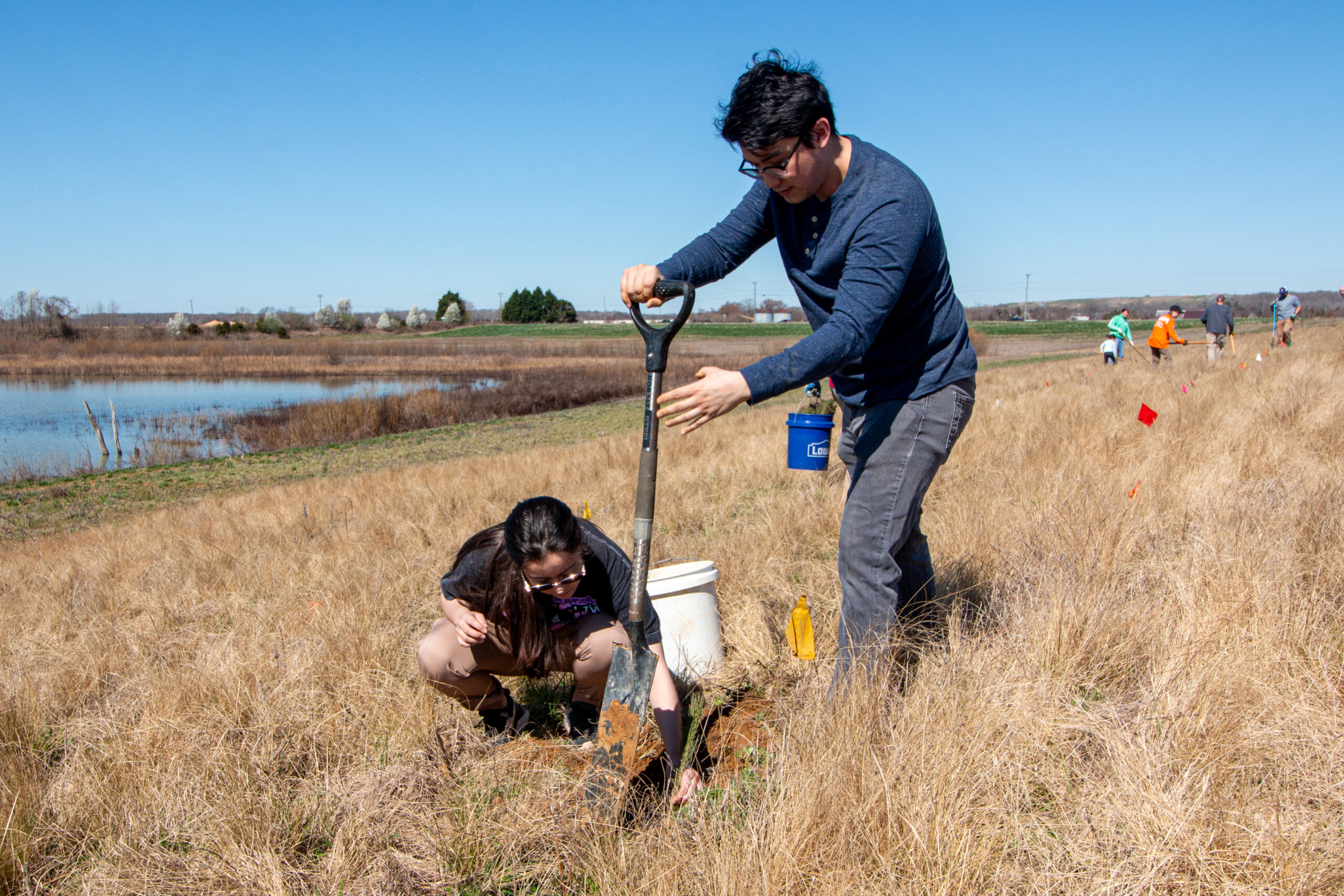 Tree Planting