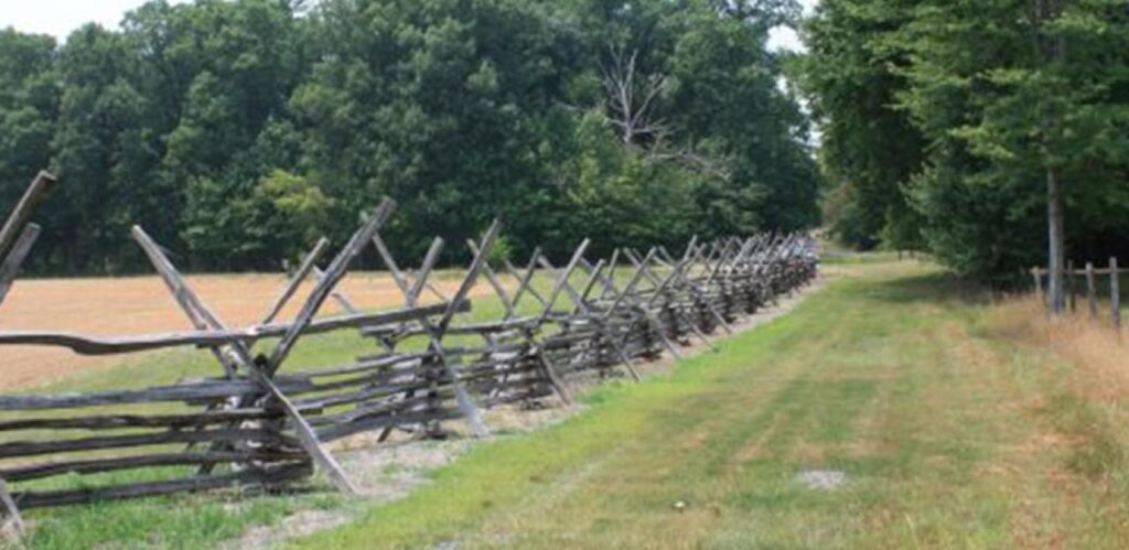 click to learn more about Dendrology 101: A Walk in the Woods