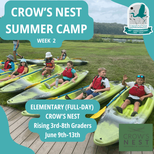 Crow's Nest CAMP: Week 2 Rising 3rd-8th Graders
