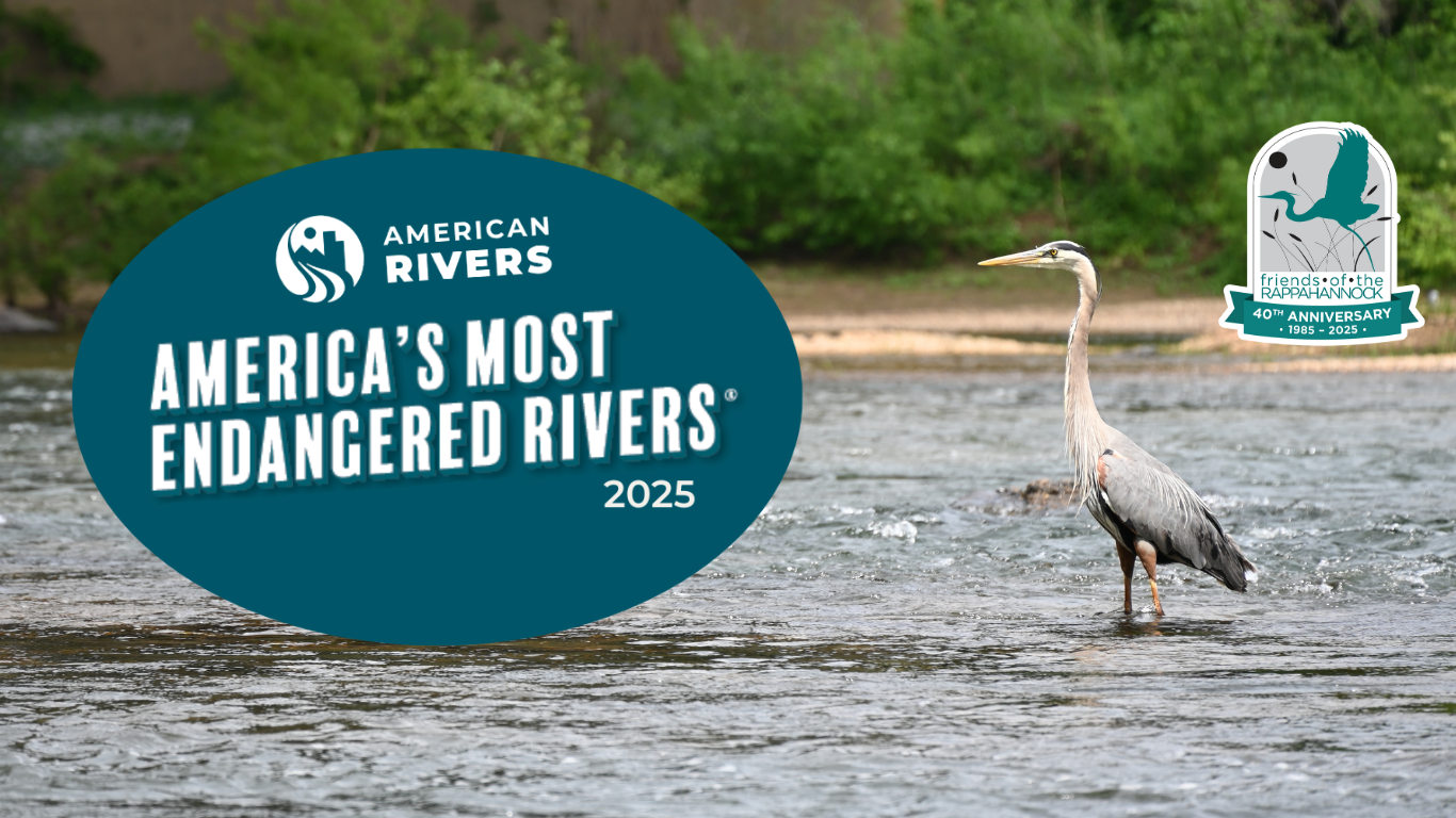 Most Endangered Rivers