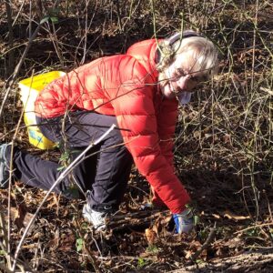 Invasive Plant Removal