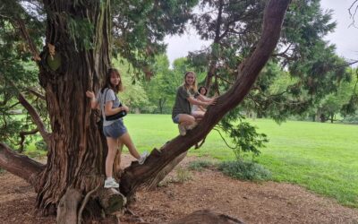 Love a Tree Day