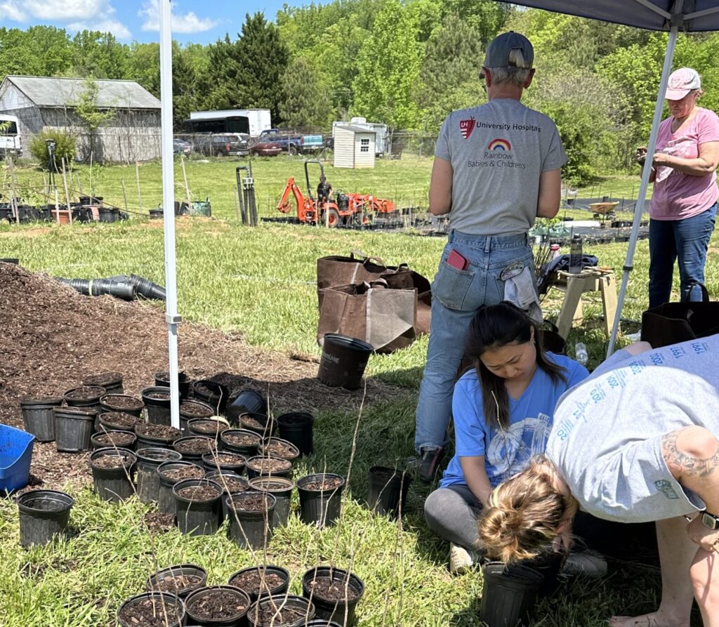click to learn more about Nursery Volunteer Day