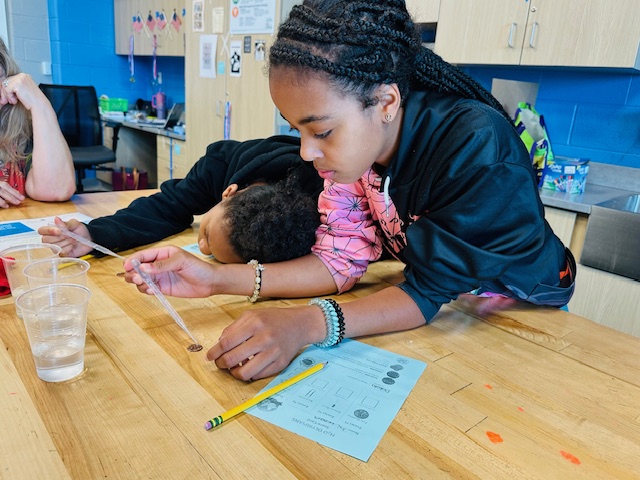 click to learn more about Project WET: Foundations of Water Education Professional Development Workshop!