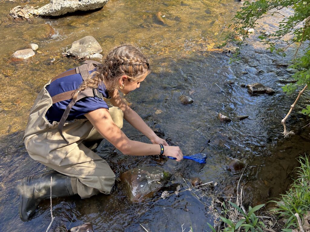 click to learn more about What’s a Watershed?