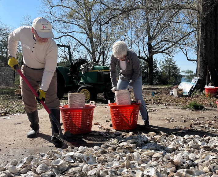 click to learn more about Fall Oyster Shell Bagging