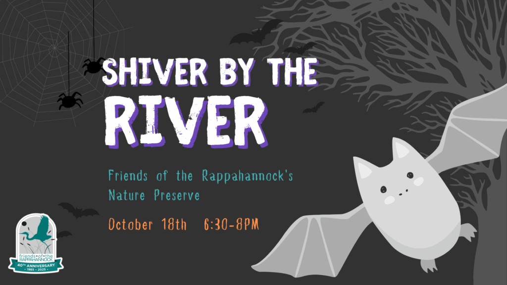 click to learn more about Shiver by the River