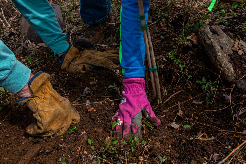 click to learn more about Carver Center Flower Bed Planting