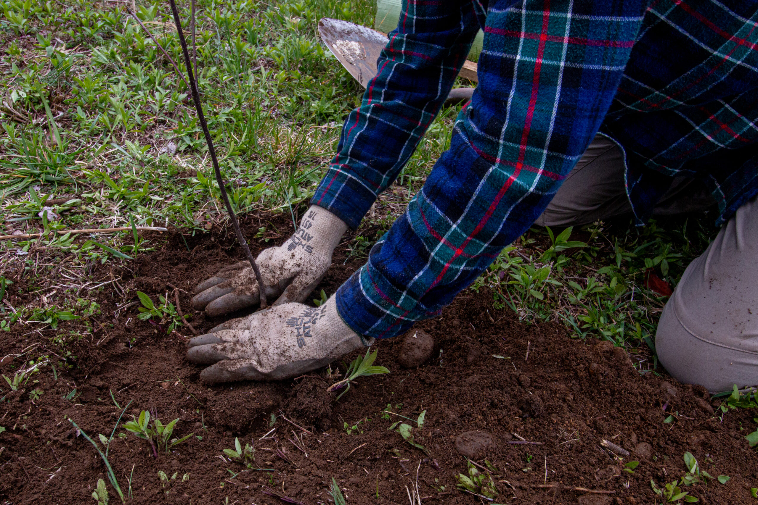 sperryville trail day-15