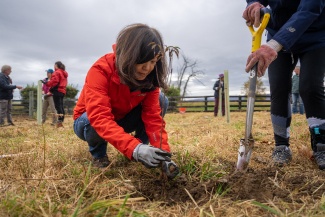 click to learn more about Tree Planting at The EcoVillage of Loudoun County