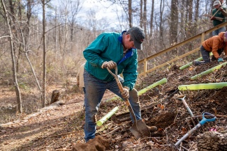 click to learn more about Tree Planting at Rappahannock County Park