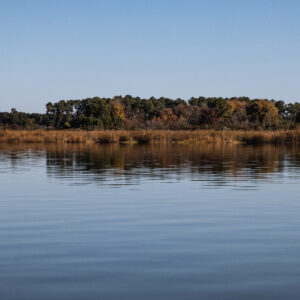 HQ STAFFORD - Week 1: Rising 1st & 2nd Graders | June 1 -June 5