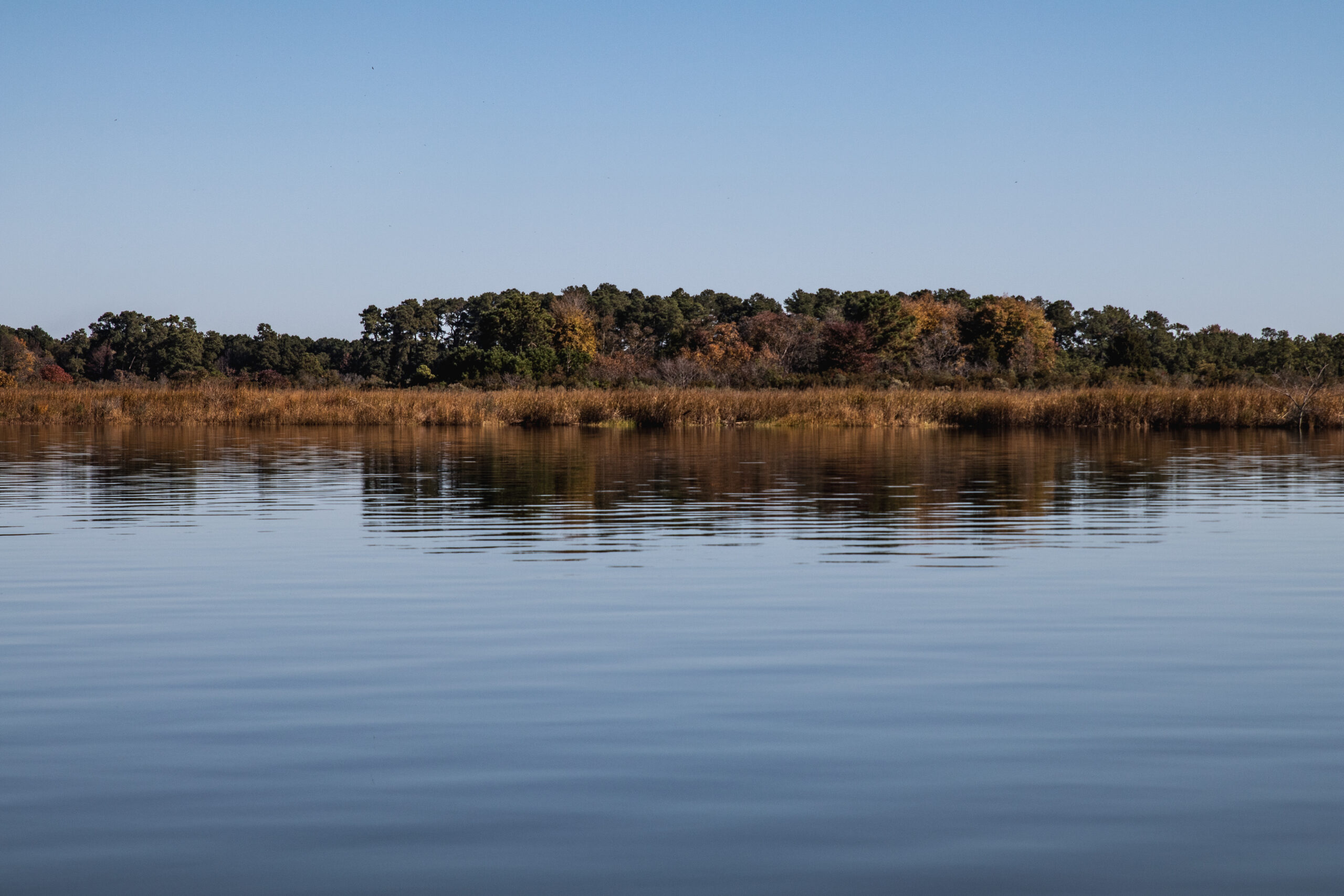 Oyster Specialists stand next to spat on shell tank