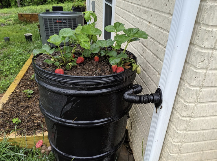 click to learn more about Culpeper Rain Barrel Workshop