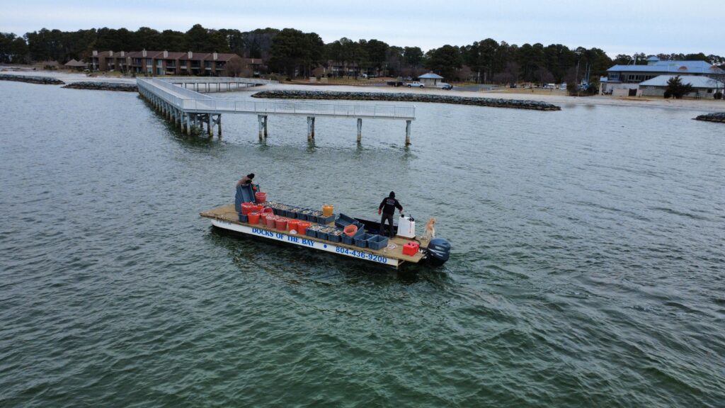 click to learn more about Lower Rappahannock Celebration