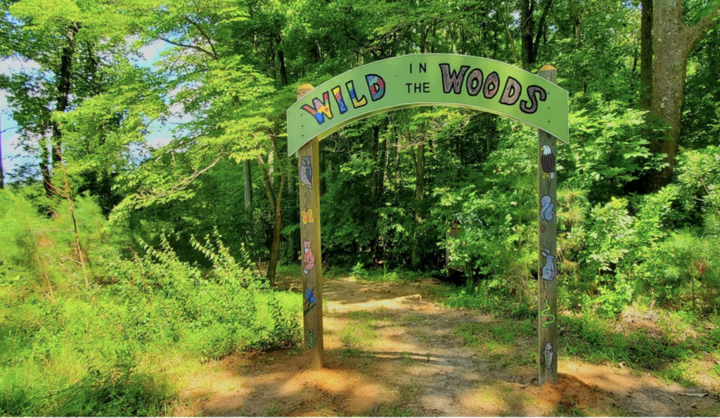 click to learn more about Cat Point Creek Spruce Up