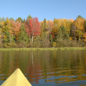 Fall Foliage Paddle